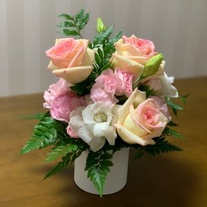 Meet your Posher, Cutie